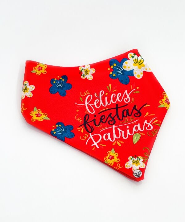 <strong>Mr. Paolo</strong> Bandana Fiestas Patrias para Mascotas, Tallas XS‑L - Imagen 3