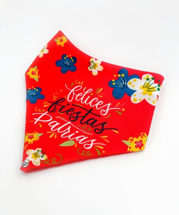 <strong>Mr. Paolo</strong> Bandana Fiestas Patrias para Mascotas, Tallas XS‑L - Imagen 2