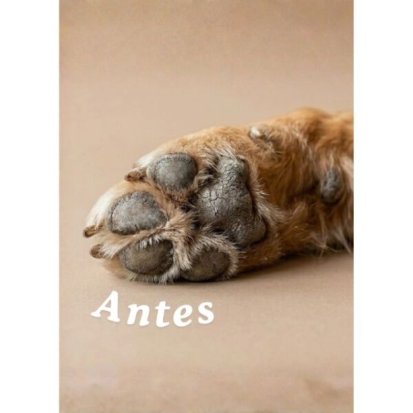 <strong>Cool Pet</strong> Hidratante de Patas y Nariz para Perros, envase de 30 ml - Imagen 4