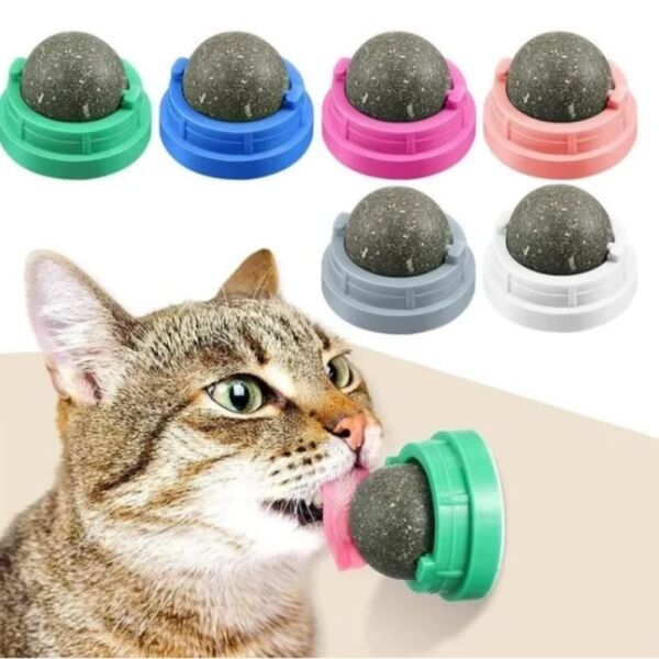 <strong>Wonder Cat</strong> juguete con Bola giratoria de Catnip, Hierba Gatera para estimulación y juego, base de 5 cm de ancho - Imagen 3