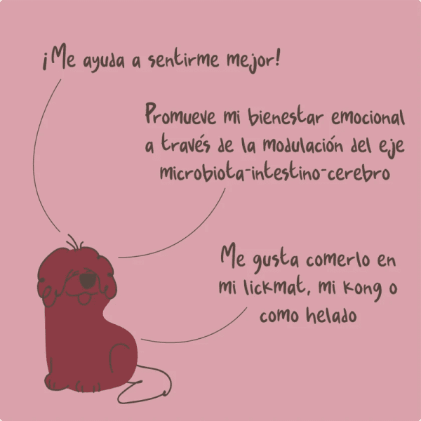 <strong>Winga</strong> Calming Power, Snack Húmedo Calmante para Perros, Melena de León, Passiflora y Melissa, pouch de 250 gr - Imagen 4