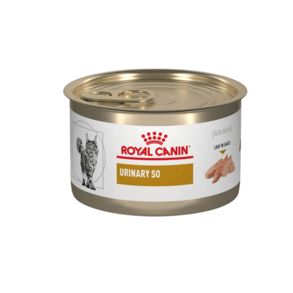 <strong>Royal Canin</strong> Urinary S/O Gato, Alimento Humedo para Gatos con Problemas Urinario, lata 145 gr