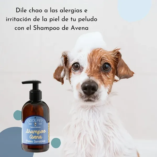 <strong>Cool Pet</strong> Shampoo de Avena para Perros, Gatos, Pieles Sensibles, 250 ml - Imagen 3