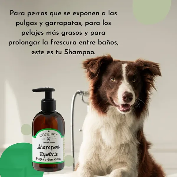 <strong>Cool Pet</strong> Shampoo Repelente de Pulgas y Garrapatas para Perros, 250 ml, con Aceite de Árbol de Té - Imagen 3