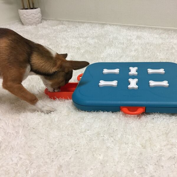 <strong>Nina Ottosson</strong> Dog Casino, Juego Interactivo con Dispensador de Snacks para Perros, Nivel 3 - Imagen 5