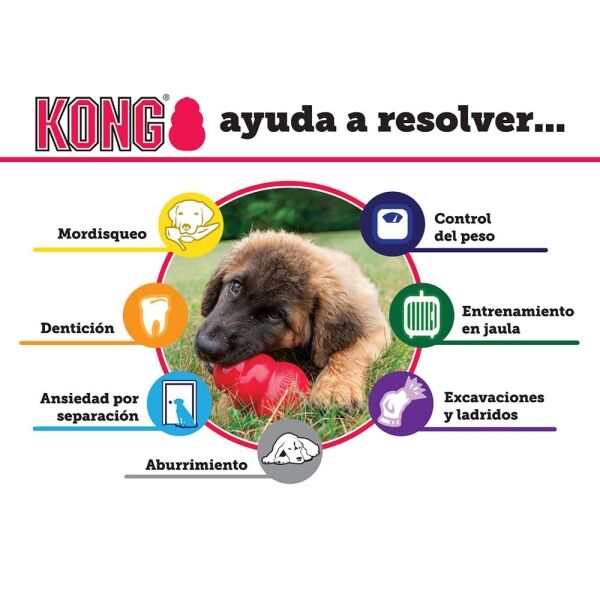 KONG SENIOR - Imagen 5