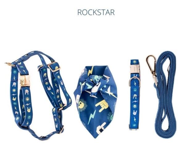 <strong>Pastore</strong> Rockstar, Bandana para Perros, Azul, Tallas S a L - Imagen 3