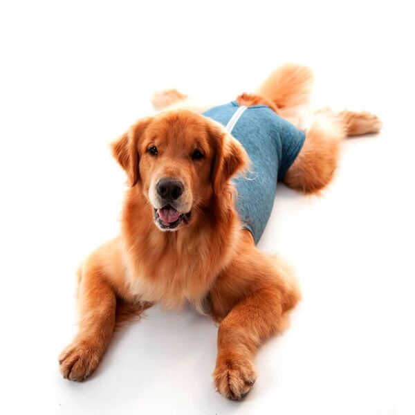 <strong>Pet Med</strong> Duo Dry, Body Post-Operatorio para Perros Machos, Tallas 00-16 - Imagen 3