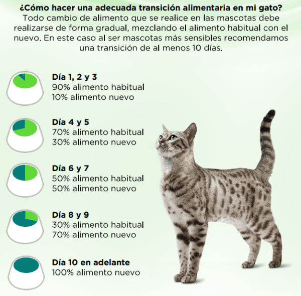 <strong>Purina Pro Plan Veterinary Diets</strong> HA Feline Hydrolized, Alimento Seco para Gatos de Pollo Hidrolizado, bolsa de 3 kg - Imagen 3