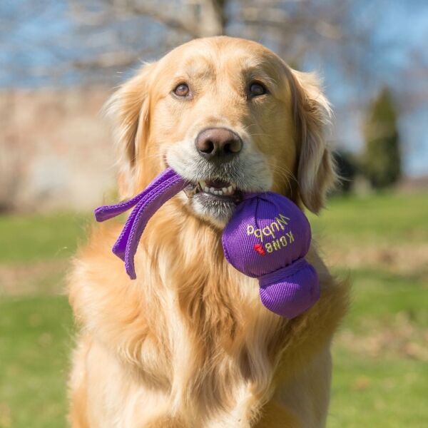 <strong>KONG</strong> Wubba, Juguete Interactivo con Sonido para Perros, Color Rojo, Tallas S y L - Imagen 5