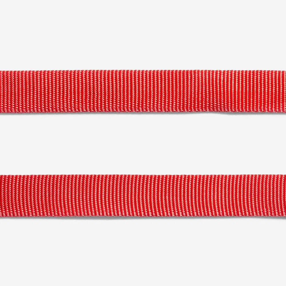 <strong>Zee.Dog</strong> Neon Coral, Collar Ajustable de Polyester para Perros, Tallas: XS, S, M, L - Imagen 4