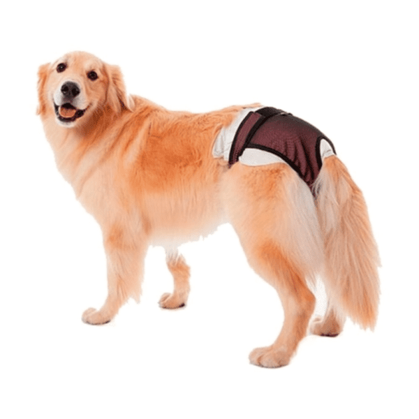 <strong>Pet Med</strong> Protector Higiénico para Pañal y Celo para Perros, Tallas 0-7