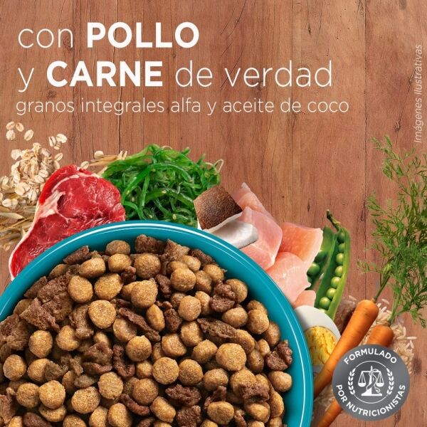 <strong>Purina ONE</strong> Alimento Seco para Gatitos, Pollo y Carne, bolsa de 2-6 kg - Imagen 7