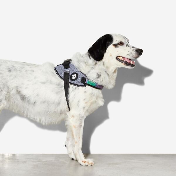 <strong>Zee.Dog</strong> Urban FlyHarness Arnés Ultraligero para Perros - Imagen 2