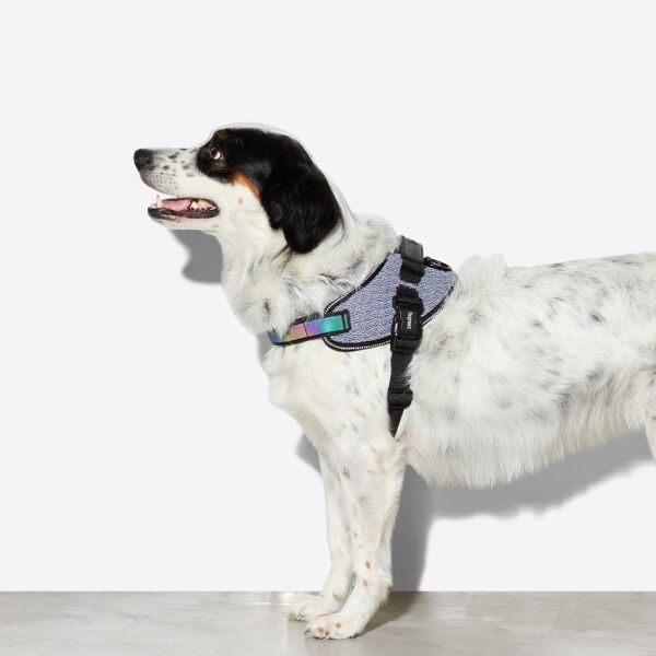 <strong>Zee.Dog</strong> Urban FlyHarness Arnés Ultraligero para Perros - Imagen 6
