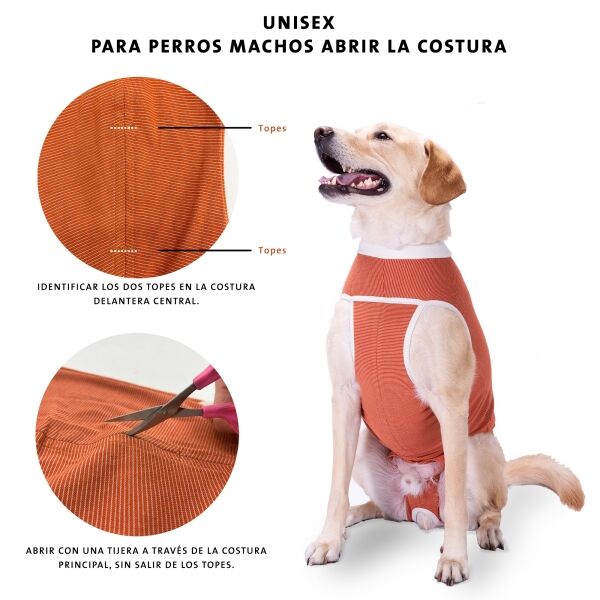 <strong>Kimba Vet</strong> Body de Cobre Castración para Perros, Tecnología Antibacteriana - Imagen 2