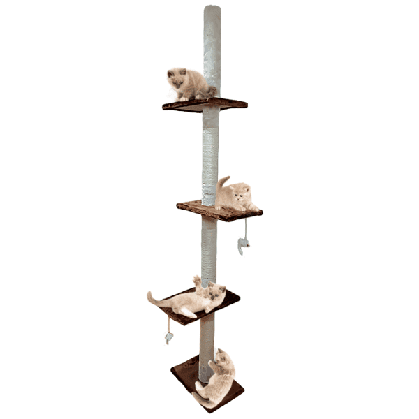 <strong>Marben Pets</strong> Torre Rascador KF8057 Café con Beige para Gatos, Altura Ajustable hasta 285 cm - Imagen 2