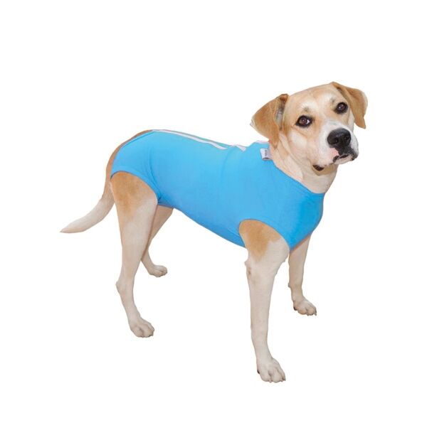 <strong>Pet Med</strong> Body Básico Postquirúrgico para Perros Machos, Protección UV y Antimicrobiana