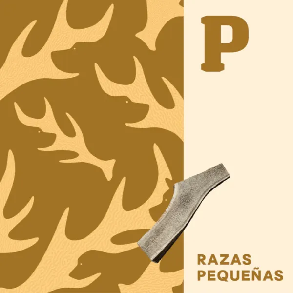 <strong>Doggo</strong> Astas de Ciervo Pequeño, 45 a 85 gr, 11 cm largo - Imagen 3