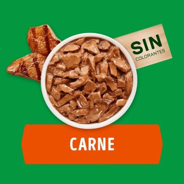 <strong>Purina Dog Chow</strong> Alimento Húmedo para Perros Adultos Minis y Pequeños, con Carne, pouch de 100 gr - Imagen 2