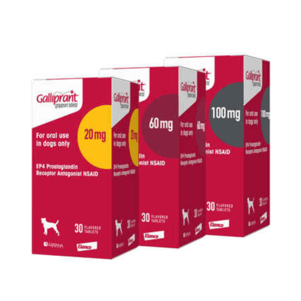 <strong>Galliprant</strong> (grapiprant) Antiinflamatorio Articulaciones para Perros, 20-100 mg, 30 comprimidos