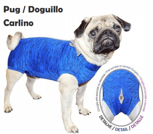 <strong>Pet Med</strong> Body Castración para Pug, Tecnología Antimicrobiana y UV50+, Tallas PP-GG