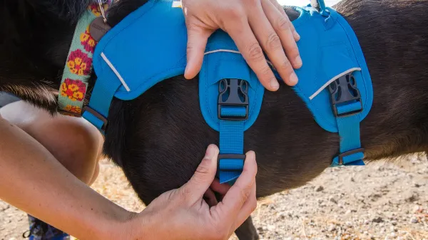 <strong>Ruffwear</strong> Web Master Blue Dusk Arnés de Soporte para Perros - Imagen 4