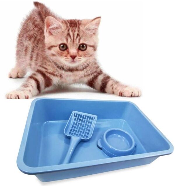 <strong>Marben Pets</strong> Kit Higiene para Gatos, Bandeja Sanitaria XL con Pala y Plato Antideslizante