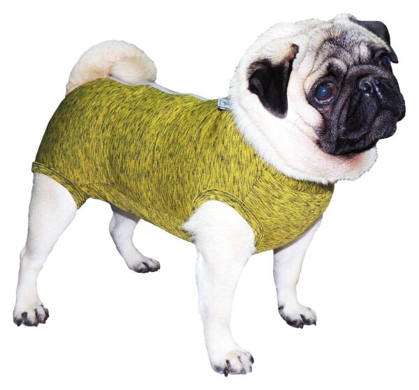 <strong>Pet Med</strong> Body Post-Quirúrgico para Pug, Protección UV50+, Tallas PP-GG