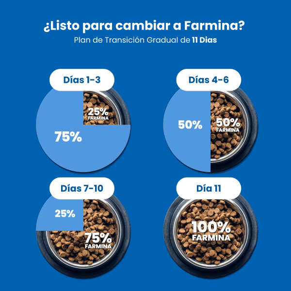 <strong>N&D</strong> Tropical Selection Adult Mini Breed, Alimento Seco para Perros Adultos, Raza Pequeña, Salmón, Cereales y Frutas Tropicales, bolsa de 2 kg - Imagen 9