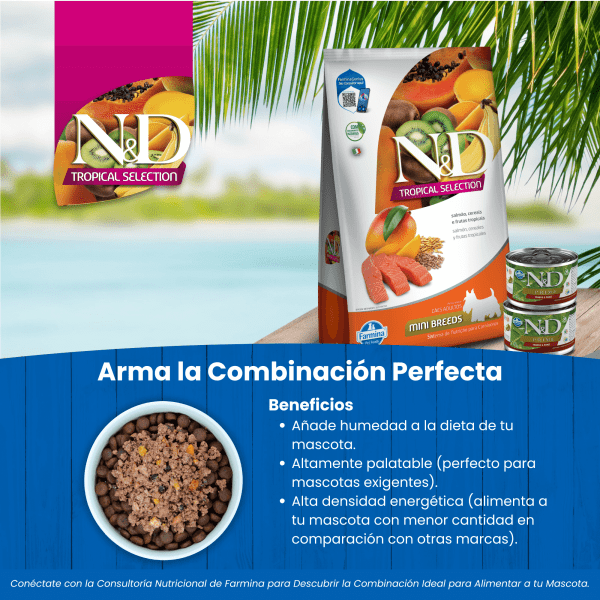<strong>N&D</strong> Tropical Selection Adult Mini Breed, Alimento Seco para Perros Adultos, Raza Pequeña, Salmón, Cereales y Frutas Tropicales, bolsa de 2 kg - Imagen 7