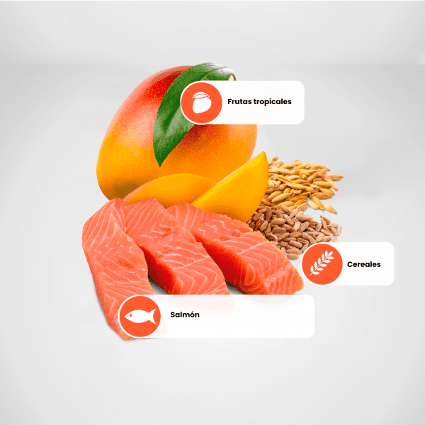 <strong>N&D</strong> Tropical Selection Adult Mini Breed, Alimento Seco para Perros Adultos, Raza Pequeña, Salmón, Cereales y Frutas Tropicales, bolsa de 2 kg - Imagen 5