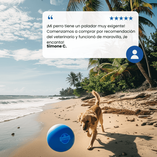 <strong>N&D</strong> Tropical Selection Adult Mini Breed, Alimento Seco para Perros Adultos, Raza Pequeña, Salmón, Cereales y Frutas Tropicales, bolsa de 2 kg - Imagen 8