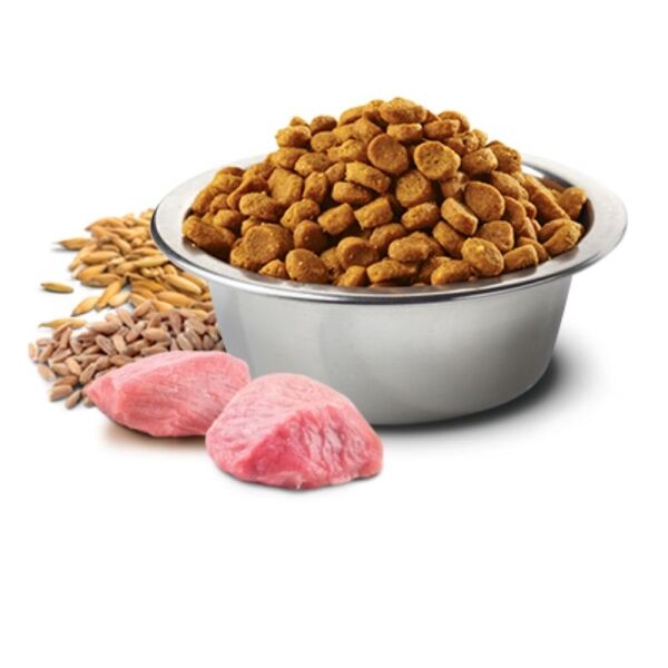 <strong>N&D</strong> Tropical Selection Adult Medium & Maxi, Alimento Seco para Perros Adultos, Raza Mediana y Grande, Cerdo, Cereales y Frutas Tropicales, bolsa de 10 kg - Imagen 2