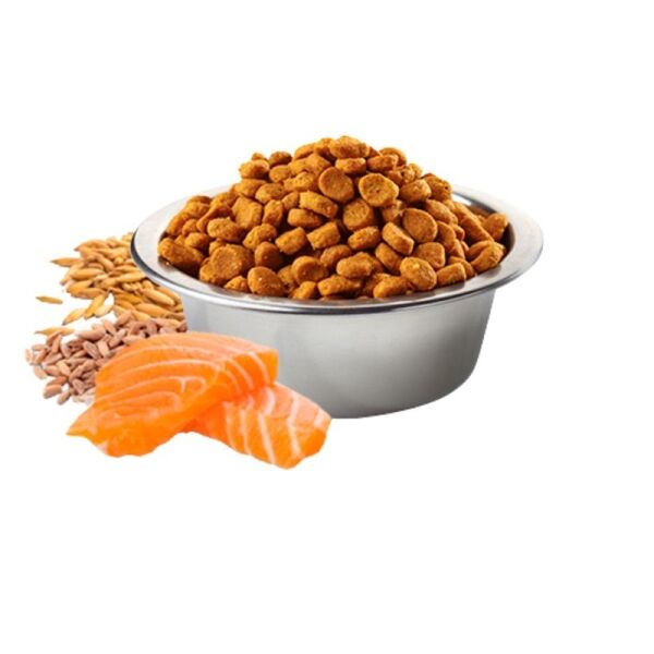 <strong>N&D</strong> Tropical Selection Adult Medium & Maxi, Alimento Seco para Perros Adultos, Raza Mediana y Grande, Salmón, Cereales y Frutas Tropicales, bolsa de 2.5 kg - Imagen 2