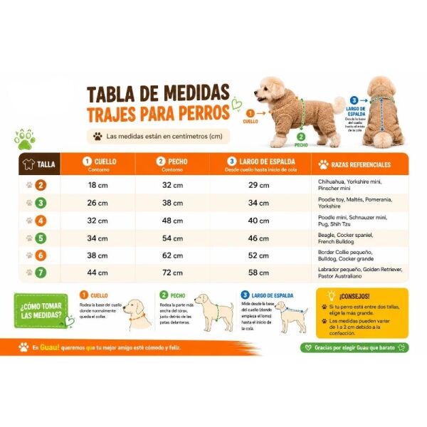 <strong>Traje Dieciochero</strong> para Perrita, color Rosado, talla 7 - Imagen 2
