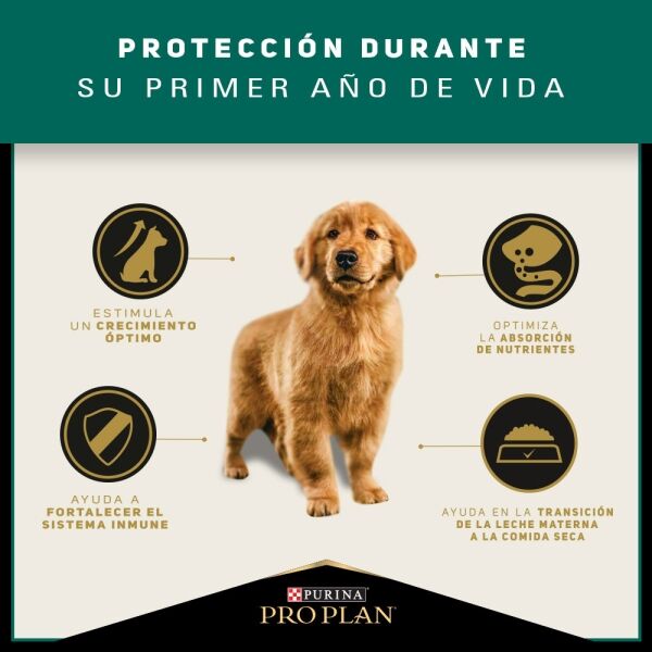 <strong>Purina Pro Plan</strong> Puppy Complete, Alimento Seco para Perros, Cachorro, Raza Mediana, bolsa de 3-12 kg - Imagen 4