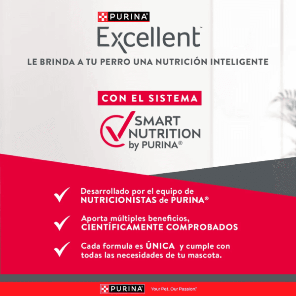 <strong>Purina Excellent</strong> Alimento Seco para Perros, Adulto, Raza Mediana/Grande, bolsa de 12 kg - Imagen 4