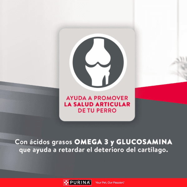 <strong>Purina Excellent</strong> Alimento Seco para Perros, Adulto, Raza Mediana/Grande, bolsa de 12 kg - Imagen 5