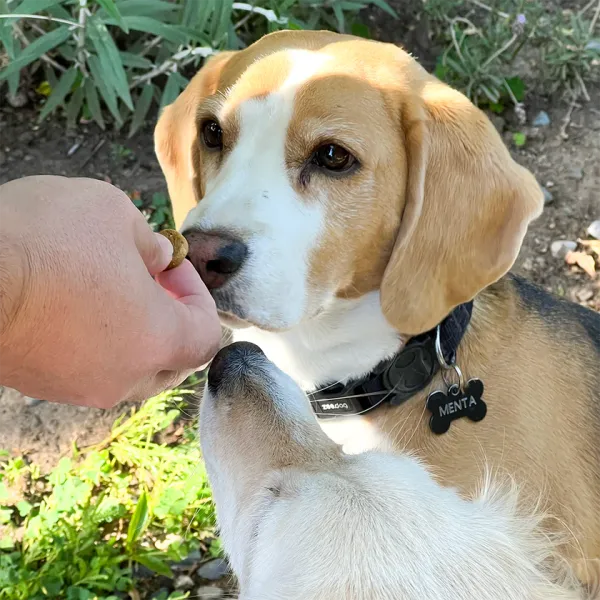 <strong>Wuaf</strong> Receta Casera, Snack Natural para Perros, Galletitas Pollo Zanahoria, bolsa de 100 gr - Imagen 4
