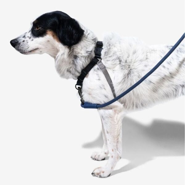 <strong>Zee.Dog</strong> Soft Walk Gotham, Arnés Anti-Tirones para Perros, Negro Gris, Talla M - Imagen 2