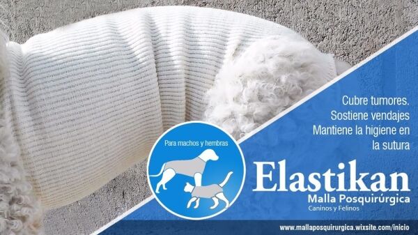 <strong>Elastikan</strong> Malla Post Quirúrgica para Perros y Gatos, Tallas 0-5 - Imagen 3