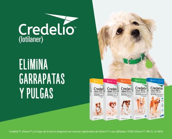<strong>Credelio</strong> Antiparasitario Externo para Perros, 1.3-2.5 kg, 1-3 comprimidos masticables (dosis mensuales) - Imagen 2