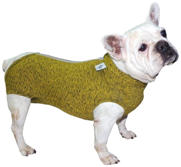 <strong>Pet Med</strong> Body Bulldog Francés, Ropa Protectora y Posquirúrgica con Protección UV50+, Tallas PP-GG