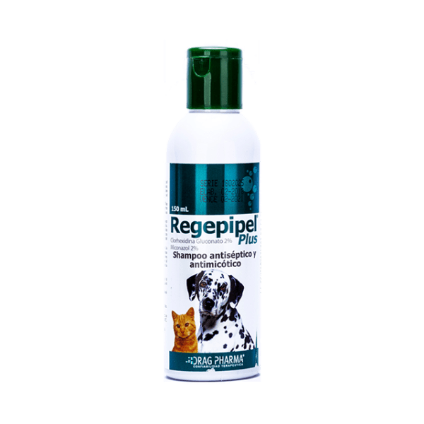 <strong>Regepipel Plus</strong> Shampoo Antiséptico y Antimicótico para Perros y Gatos, frasco de 150 ml