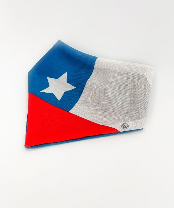 <strong>Mr. Paolo</strong> Bandana Bandera Chilena para Mascotas, Tallas XS‑L - Imagen 3