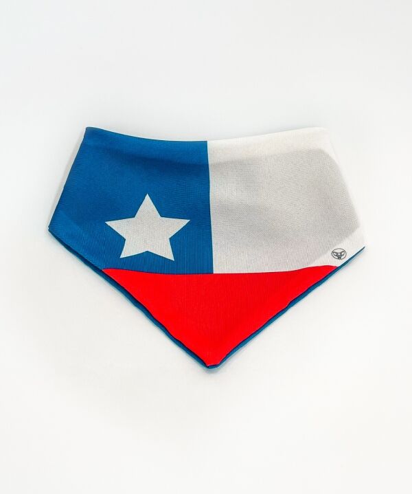 <strong>Mr. Paolo</strong> Bandana Bandera Chilena para Mascotas, Tallas XS‑L