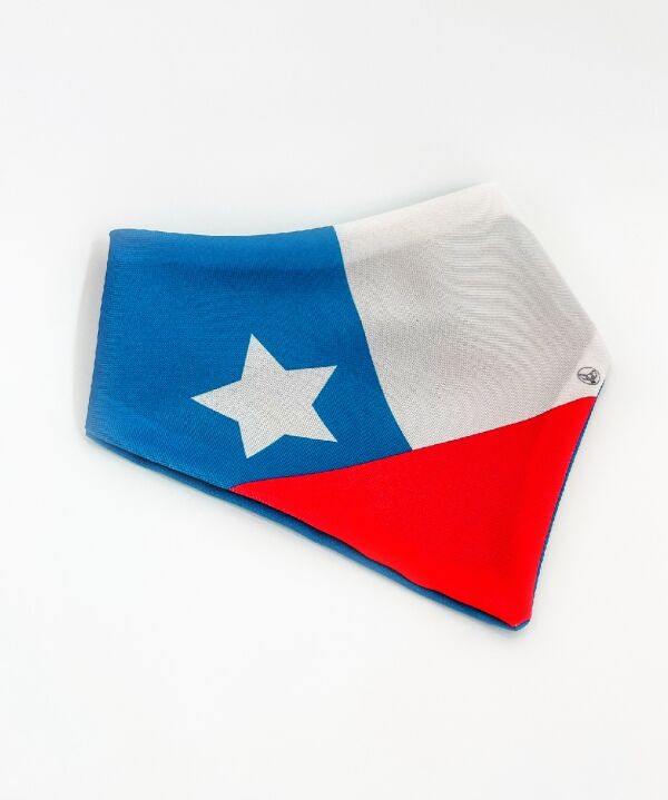 <strong>Mr. Paolo</strong> Bandana Bandera Chilena para Mascotas, Tallas XS‑L - Imagen 2