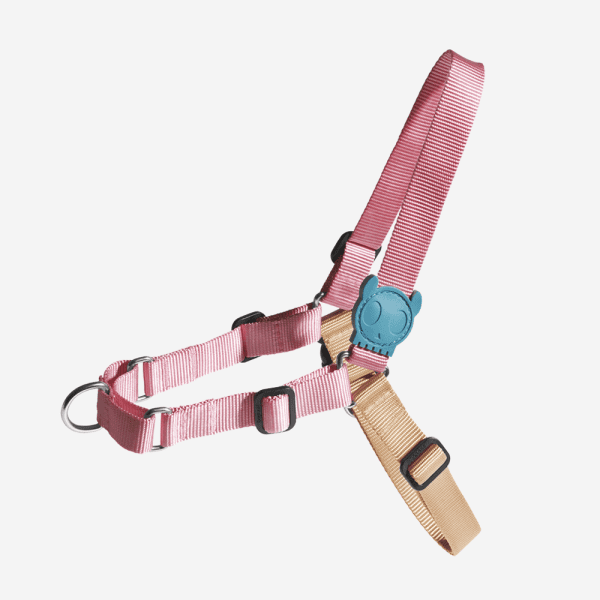 <strong>Zee.Dog</strong> Soft Walk Jelly Arnés Anti-Tirones para Perros