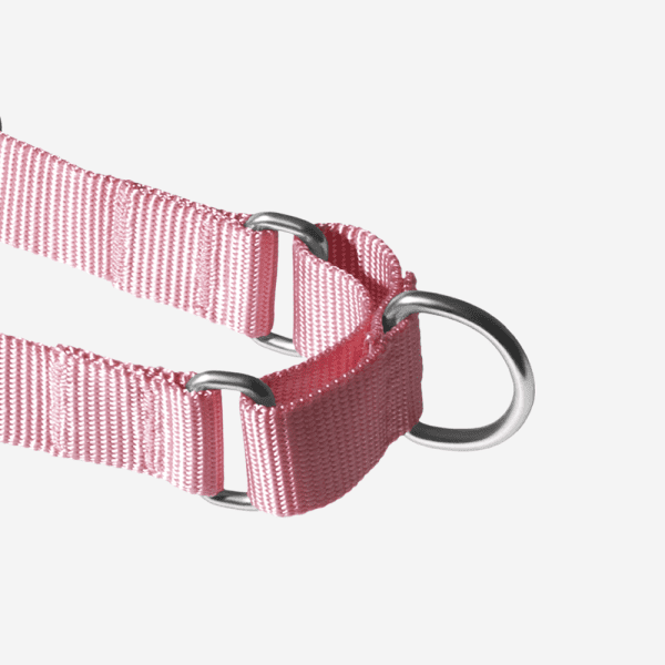 <strong>Zee.Dog</strong> Soft Walk Jelly Arnés Anti-Tirones para Perros - Imagen 2